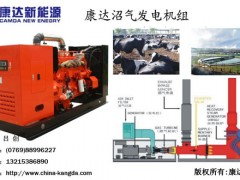 天然气发电机组、康明斯发电机组、沼气发电机组
