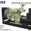 青海柴油发电机、青海康明斯发电机、青海天然气发电机