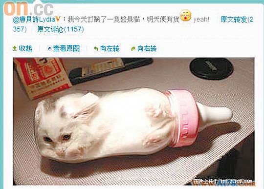 唐贝诗涉嫌虐畜遭批不反省反咬众星乱批评