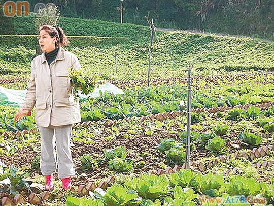 甄妮台湾开农庄耕田放羊不顾形象返璞归真(图)