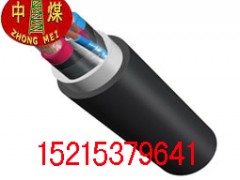 供应VLV22电力电缆     VLV22   通用电线