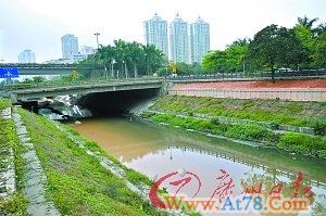 深圳花5亿治理1条短河未见效遭人大代表质疑