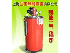 蒸发量100kg/h燃气锅炉(蒸汽锅炉) 蒸发量100kg/h燃气锅炉(蒸汽锅炉)