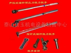 预应力锚杆扭力扳手 五金扳手  矿山机电  泰山鲁玉