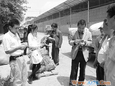 甘肃陇西中药材价格连续上涨种植成本高成主因