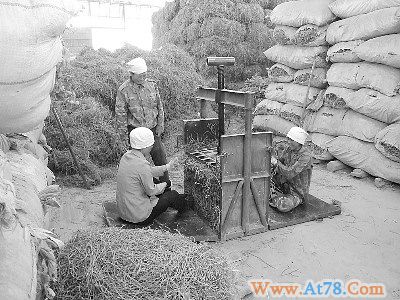甘肃陇西中药材价格连续上涨种植成本高成主因