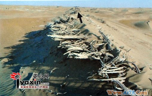 罗布泊发现新古城规模仅次于楼兰遗址(组图)