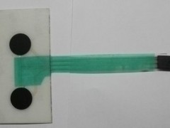 JY-DSCF0651 JY-DSCF0651