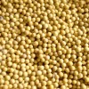 武泰求购黄豆