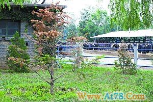 牛虻作者孙女在京去世曾获中国首张永久居留证