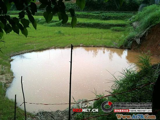 湖南宁乡多处地面塌陷 最大直径80余米(图)