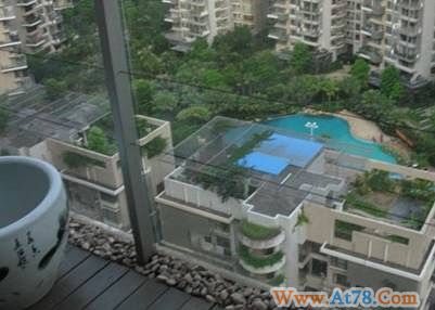 有车！有房！有厨堡！征80后女友一名