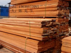 供应康帕斯,第伦桃,金刀木,榄仁木 供应康帕斯,第伦桃,金刀木,榄仁木