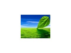 武汉工商注册,执照年检代理公司 武汉工商注册,执照年检代理公司