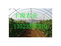 大棚支架设备，养殖大棚骨架机，种植大棚骨架机安阳丰源