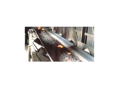 供应:耐高温输送带,耐灼烧输送带,传送带,运输带,输送带 供应:耐高温输送带,耐灼烧输送带,传送带,运输带,输送带