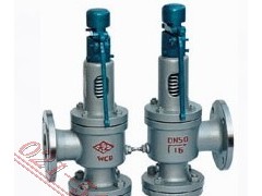 A38Y双联弹簧式安全阀