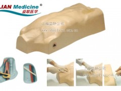 供应医学模型|中心静脉穿刺注射躯干模型 供应医学模型|中心静脉穿刺注射躯干模型
