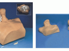 供应医学教学模型|中心静脉穿刺插管模型 供应医学教学模型|中心静脉穿刺插管模型