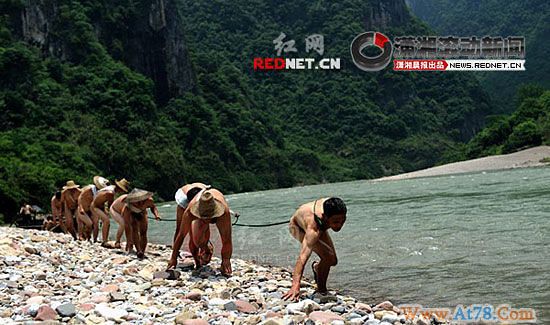 湖南张家界茅岩河畔现裸体纤夫被指炒作(组图)