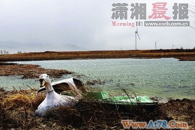 北京超采地下水致大面积沉降 河北输