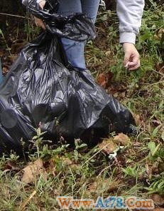 请进来看看，你是否已经进化成绿领