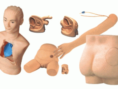 基础护理模型|高级新型基础护理实习操作模型 基础护理模型|高级新型基础护理实习操作模型