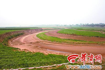 黄河二级支流洛河因高温少雨已断流7天(图)