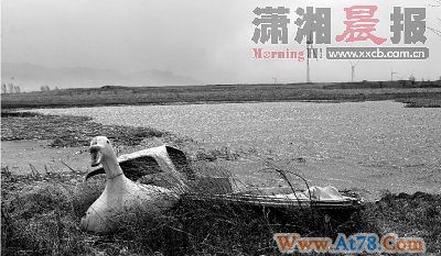 南水北调工程延迟通水 北京缺水局面更严峻