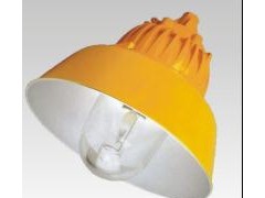 防爆平台灯,石油平台灯,车间平台灯 防爆平台灯,石油平台灯,车间平台灯