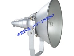 NTC9210防震型投光灯，防震投光灯，GT101