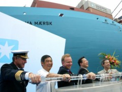 提供服务中越拼柜陆运 提供服务中越拼柜陆运