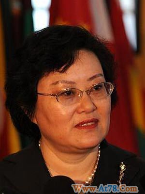 中国资深女外交官薛捍勤高票当选国际法院法官