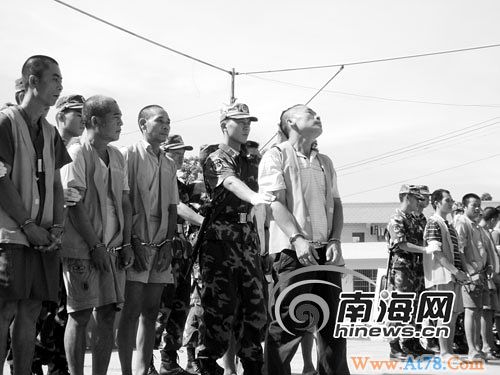 海南儋州17名村民盗伐林木被公捕(图)