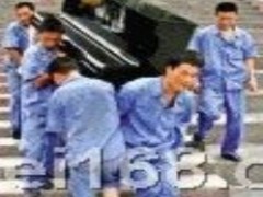 提供服务广州至洛阳搬家公司 免费提供包装