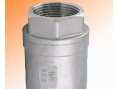 立式止回阀H12W-16P