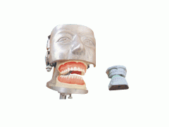 仿汉斯头模 头模 生产厂家 郑州舒百康