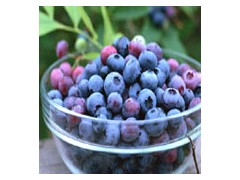 蓝莓花青素 蓝莓花青素