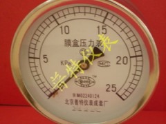 YE100膜盒压力表 YE100膜盒压力表