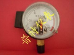 YEX100膜盒电接点压力表 YEX100膜盒电接点压力表