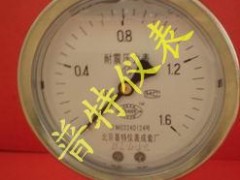 YTN100耐震压力表 YTN100耐震压力表