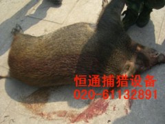 捕猎器，打野猪机，捕野猪机器，捕野猪机还是恒通信得过！