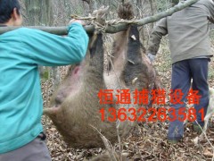 恒通捕野猪机，大型捕猎器，优质打野猪机，月收万元！