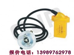 BAD307 BAD307 便携式防爆强光工作灯