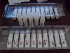 SPT瓷嘴 PECO瓷嘴 GAISER瓷嘴