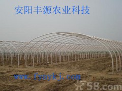 大棚骨架机，蔬菜大棚骨架机，温室大棚骨架机，安阳丰源农业