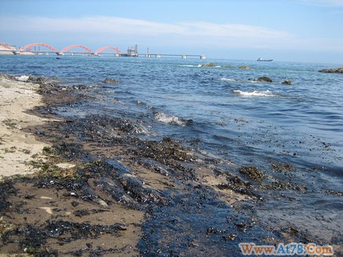 大连新港输油管道爆炸原因开始调查