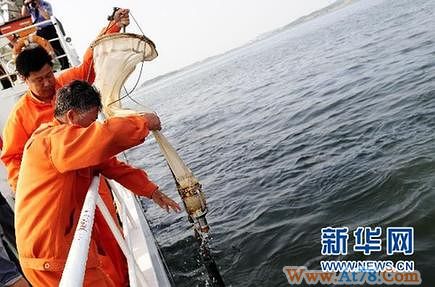 大连清除海洋污染作业积极有效