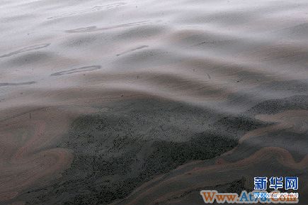 大连清除海洋污染作业积极有效