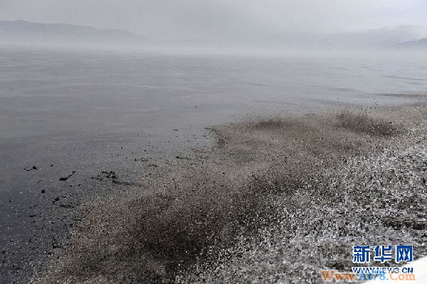 大连清除海洋污染作业积极有效